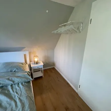 Am Wald In Der Suedheide