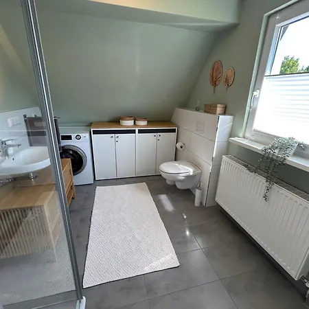 Am Wald In Der Suedheide